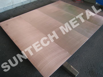 الصين Explosion Bonded 316L Copper Clad Tubesheet for Corrosion Resistance المزود