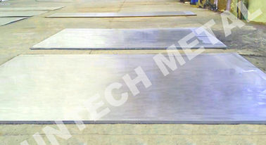 الصين Stainless Steel Clad Plate SA240 304L / SA516 Gr.70 HIC for Oil Refinery مصنع